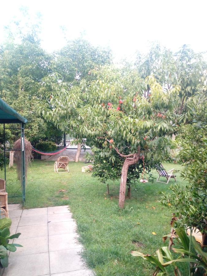 Green Garden Помпеї Екстер'єр фото